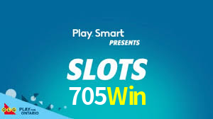 Programa VIP 705Win